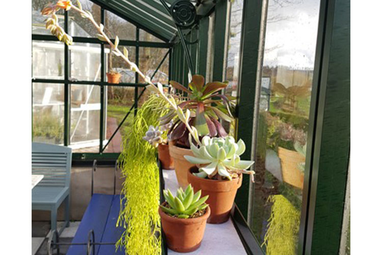 bevattningsmatta smal