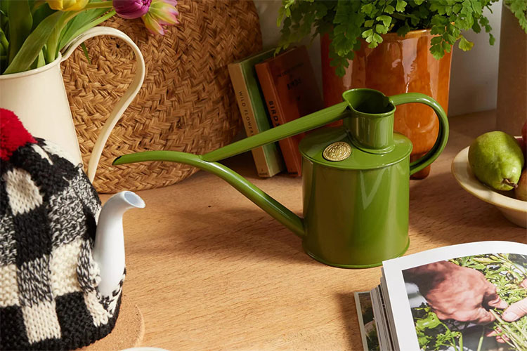 haws vattenkanna grasgron inspo