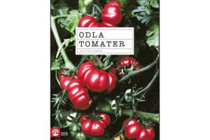 Bokomslag till Odla tomater av Åke Truedsson med bild på tomater