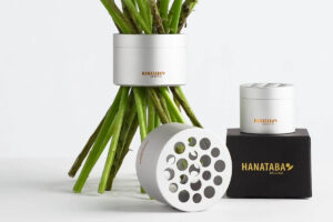 Hanataba bukettverktyg i färgen Pearly Silver, visat tillsammans med blommor.