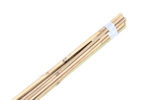 Närbild på bambukäpp stöd i bunt om 10 st