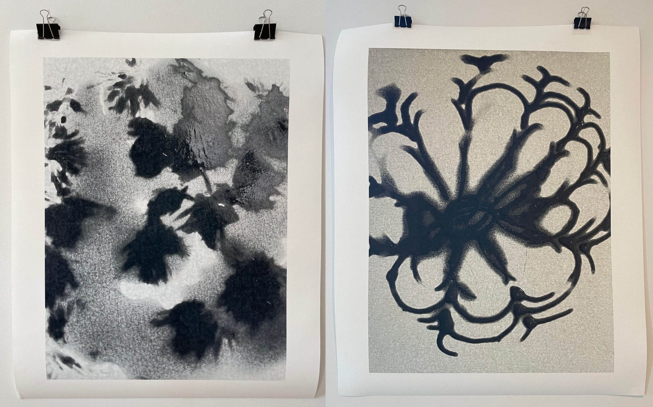 Två verk av Marie Caldemo, föreställande abstrakta former av svart pigment