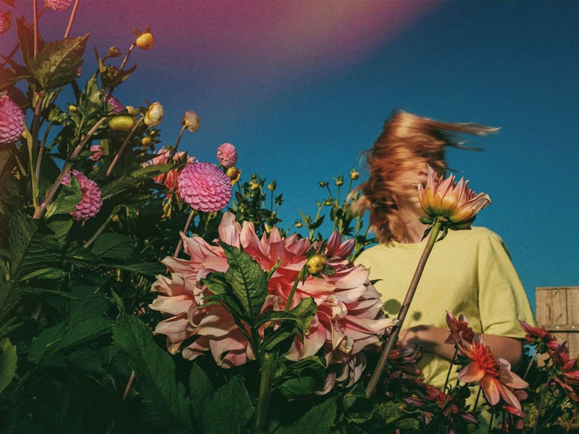 Fotografi av Lovisa Wanker föreställande en kvinna och blommor