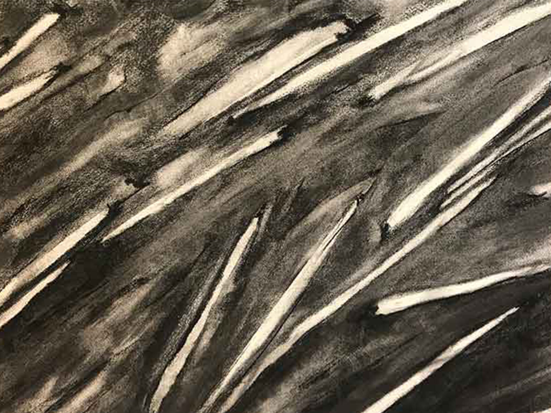 Bild målad av Lena Andersson i kol, föreställande ett svart-vitt abstrakt mönster